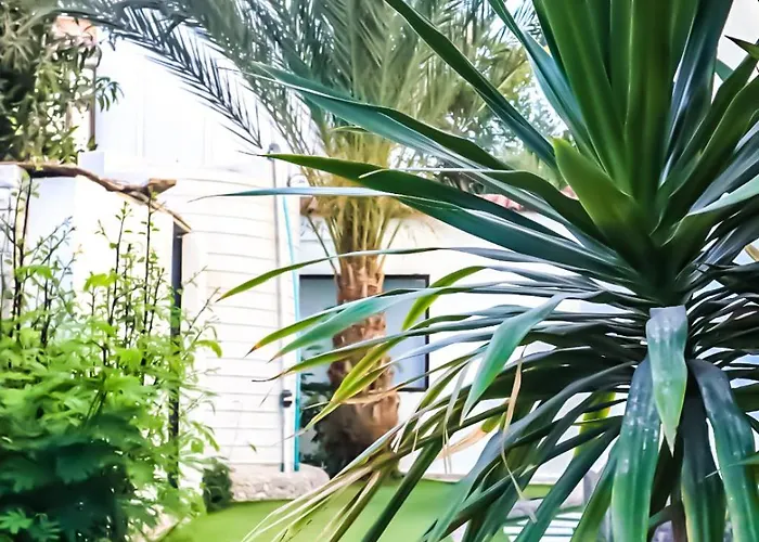 فندق مبيت وإفطار Zahra Club *